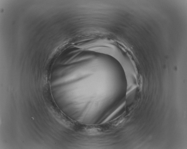 X0000084600407200703091934