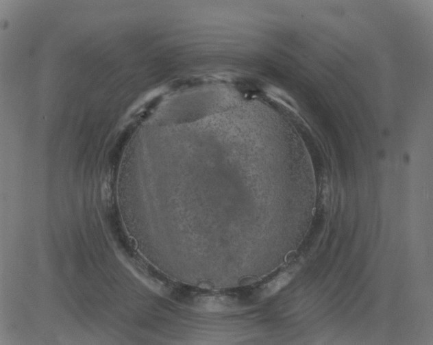 X0000084600408200703091934