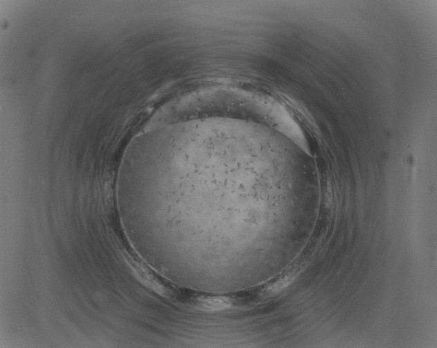 X0000084600409200703091934