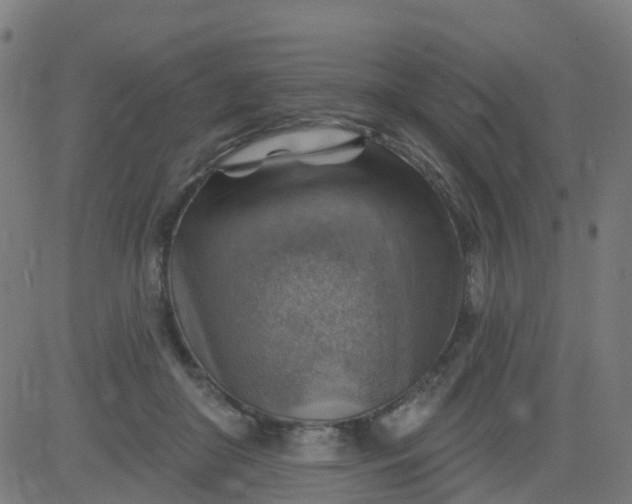 X0000084600410200703091934