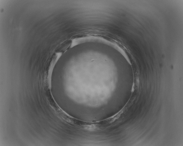 X0000084600411200703091934