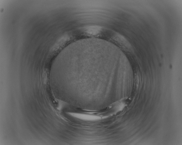 X0000084600412200703091934