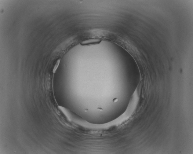 X0000084600413200703091934