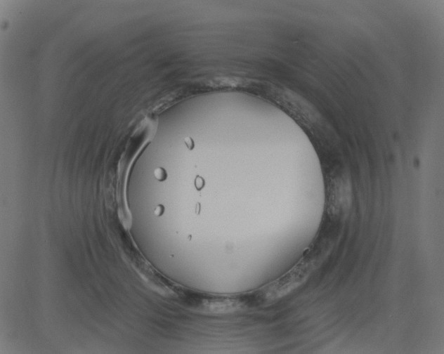 X0000084600414200703091934