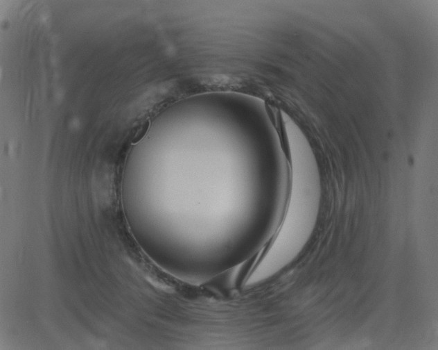 X0000084600416200703091934