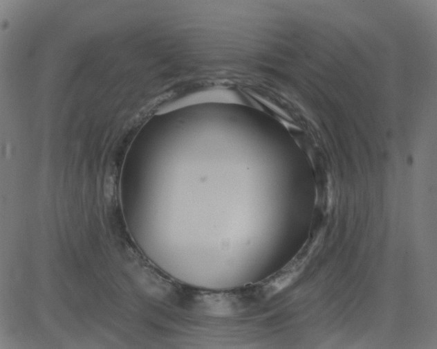 X0000084600417200703091934