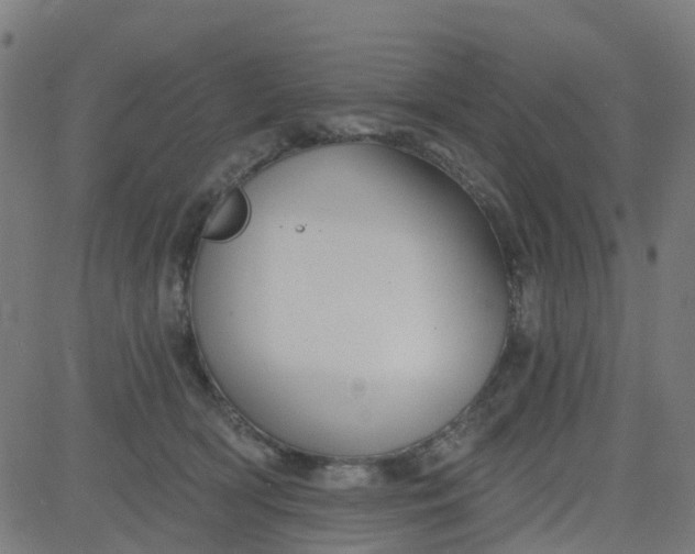 X0000084600418200703091934