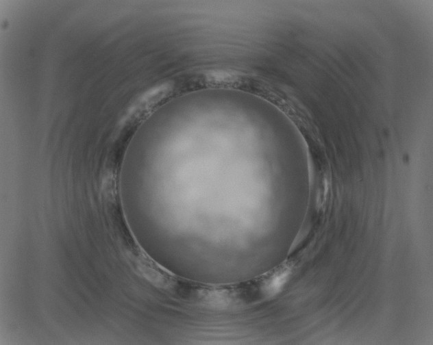 X0000084600419200703091934