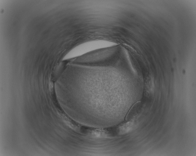 X0000084600420200703091934