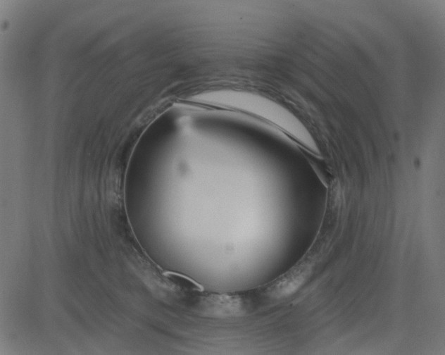 X0000084600421200703091934