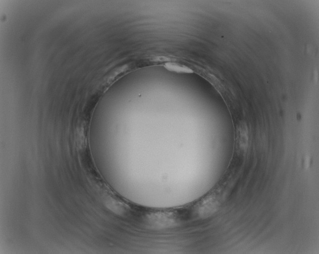 X0000084600422200703091934