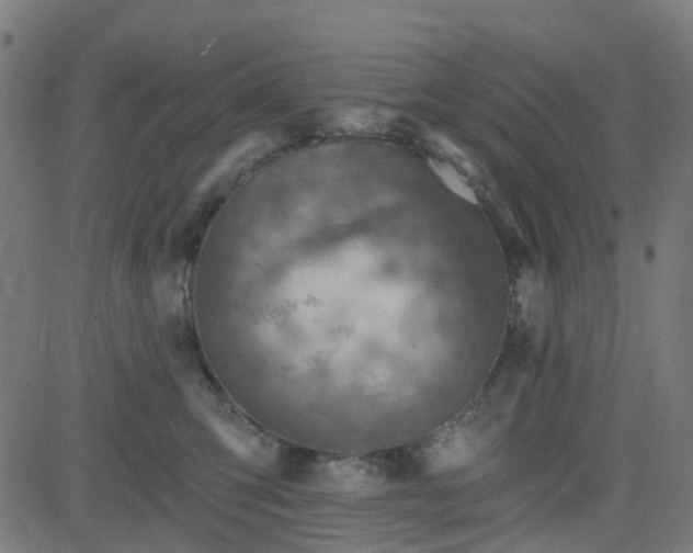 X0000084600423200703091934