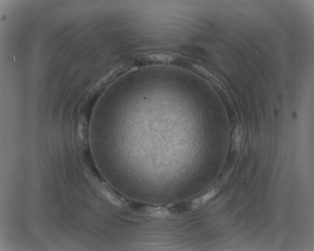 X0000084600424200703091934