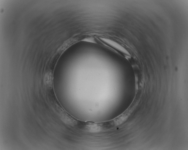 X0000084600425200703091934