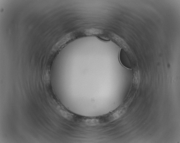 X0000084600426200703091934