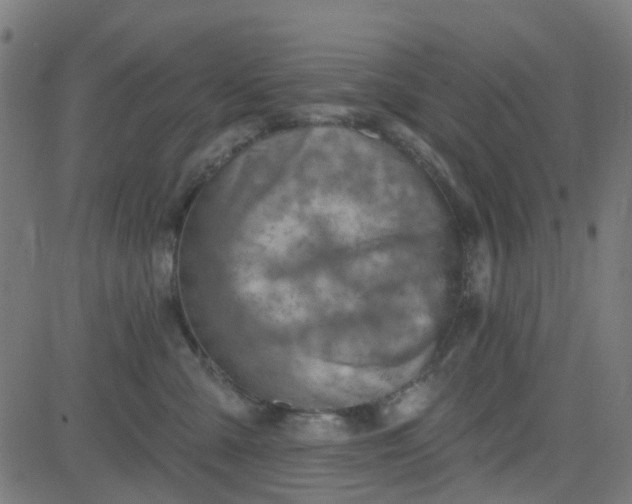 X0000084600427200703091934