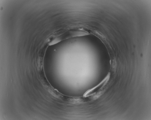 X0000084600428200703091933