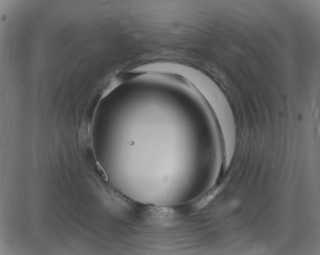 X0000084600429200703091933