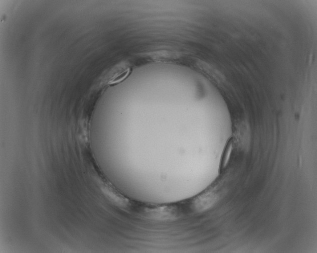 X0000084600430200703091933