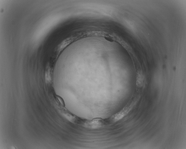 X0000084600431200703091933