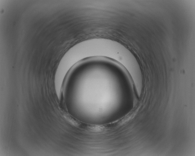 X0000084600432200703091933