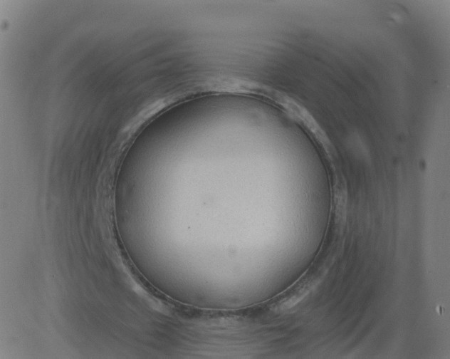 X0000084600433200703091933