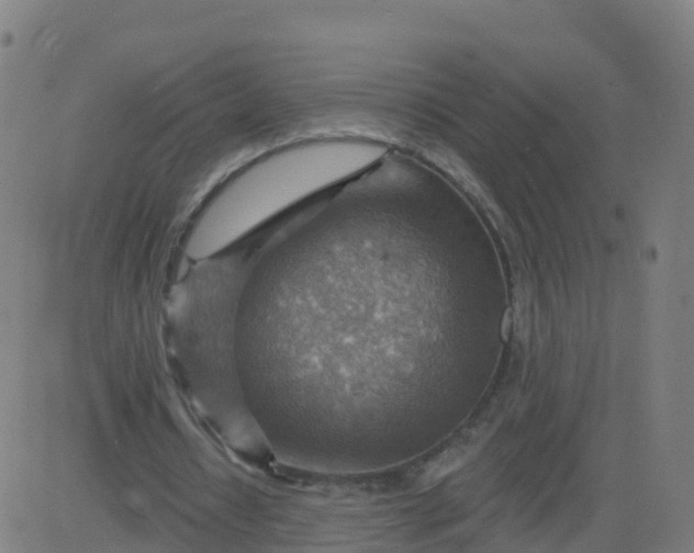 X0000084600434200703091933