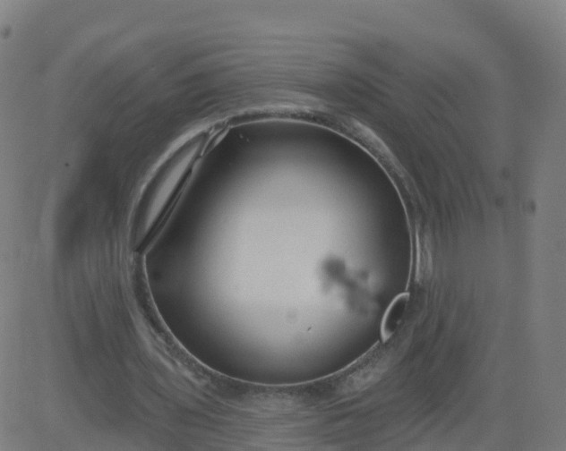 X0000084600435200703091933