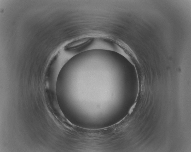 X0000084600436200703091933