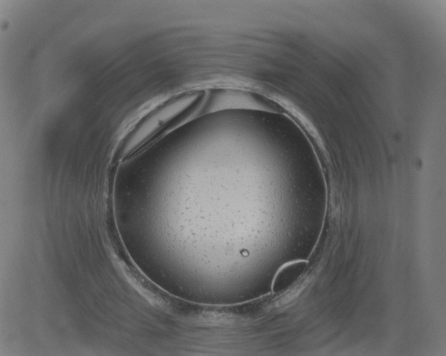 X0000084600437200703091933