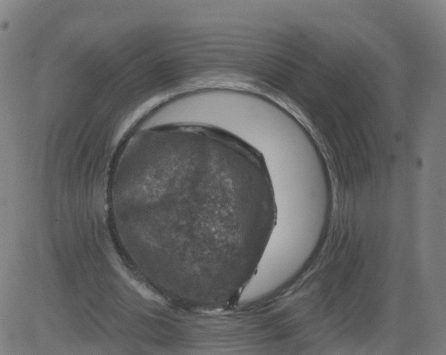 X0000084600438200703091933