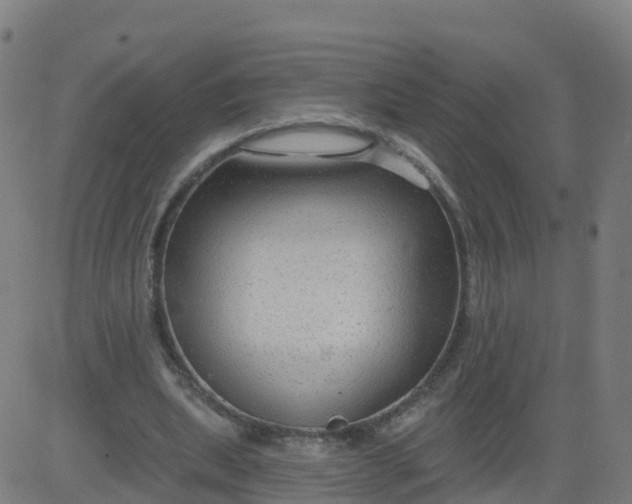 X0000084600439200703091933