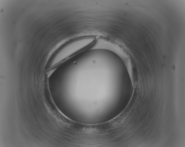 X0000084600440200703091933