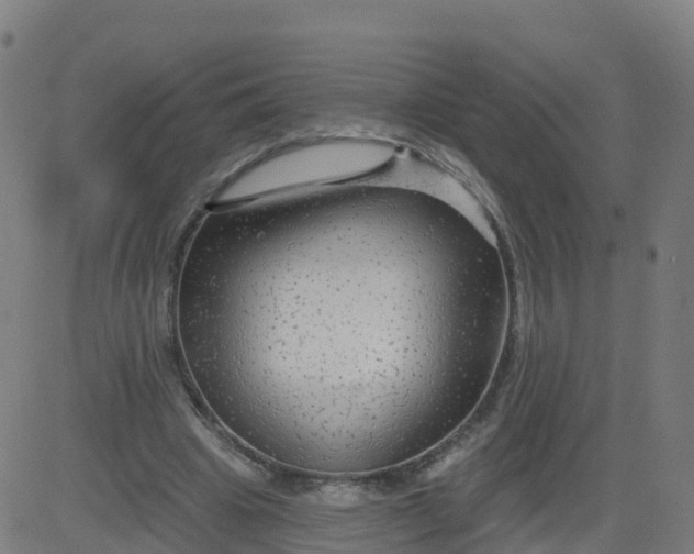 X0000084600441200703091933