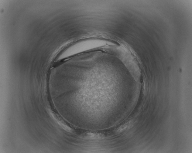 X0000084600442200703091933