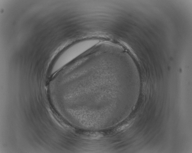 X0000084600443200703091933