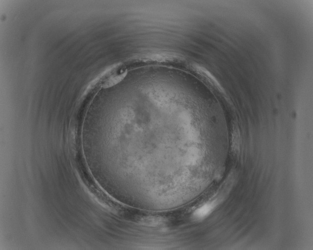 X0000084600444200703091933