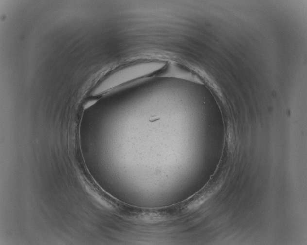 X0000084600445200703091933