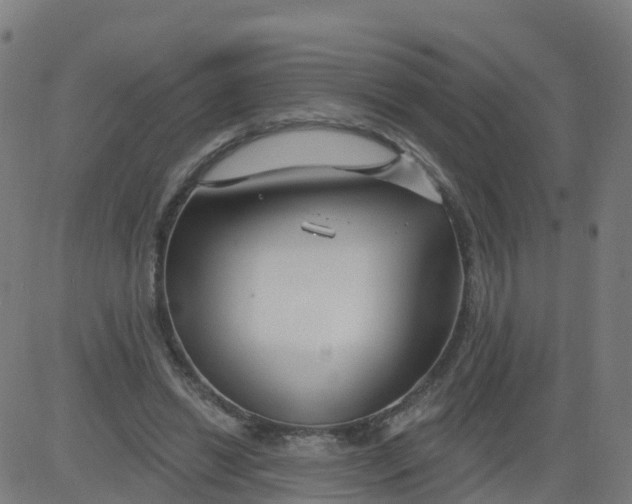 X0000084600446200703091933