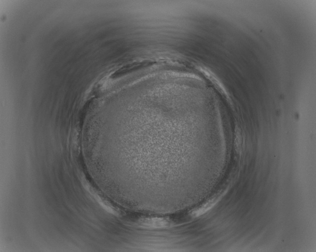 X0000084600449200703091933