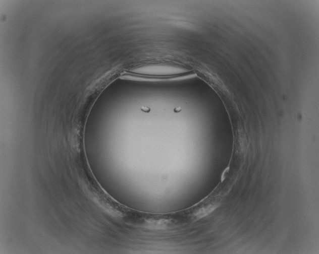 X0000084600450200703091933