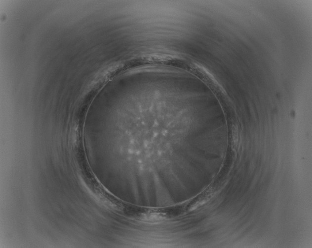 X0000084600451200703091933