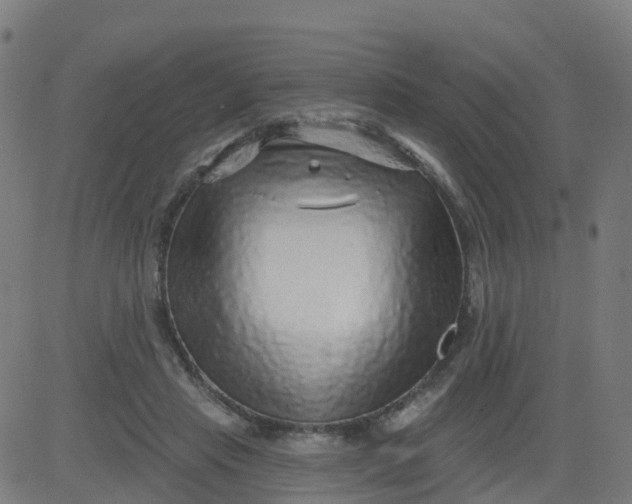 X0000084600453200703091933