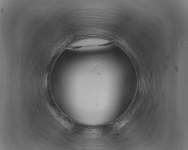 X0000084600454200703091933