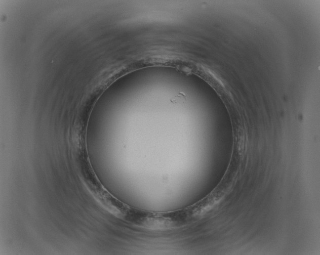 X0000084600455200703091933