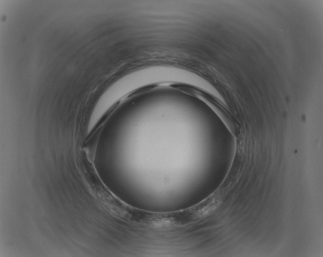 X0000084600456200703091933