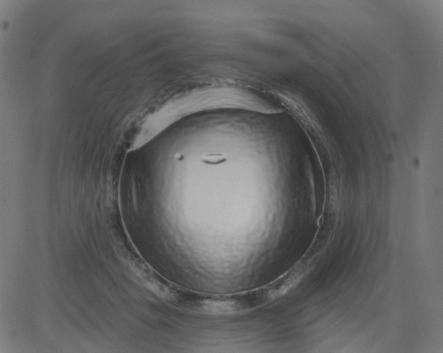 X0000084600457200703091933