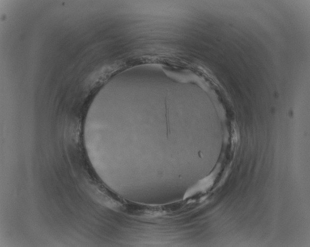 X0000084600458200703091933