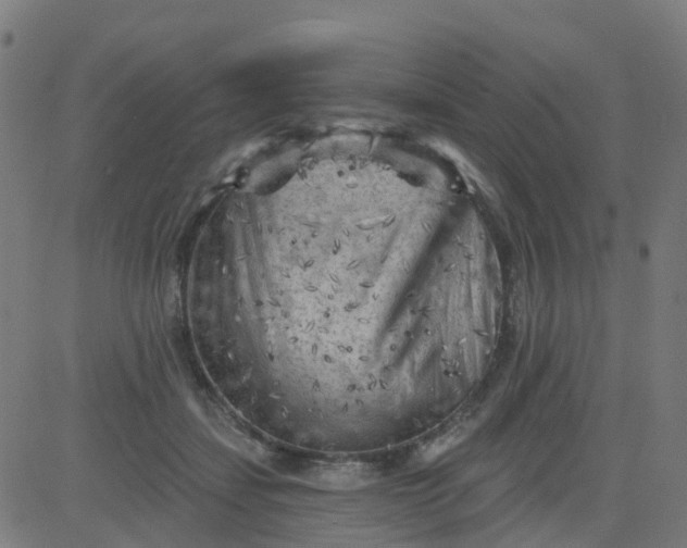 X0000084600459200703091933