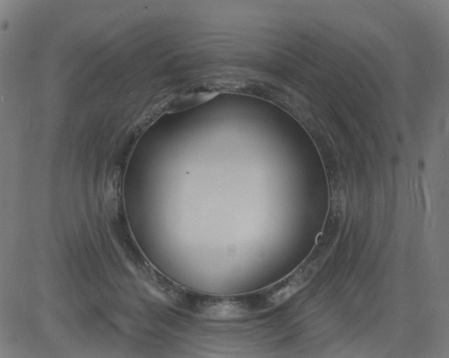 X0000084600460200703091933